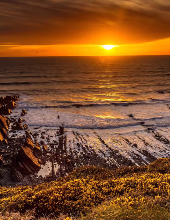 sunset over rocky coastline