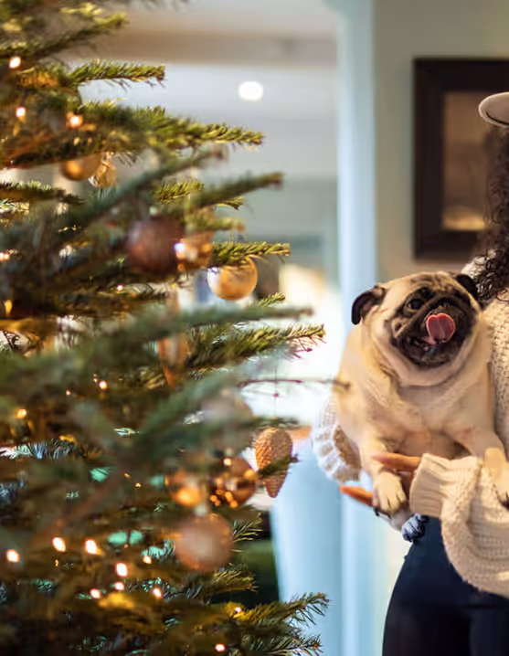 woman holding a dog standing beside a Christmas tree
