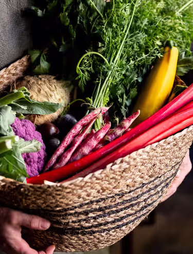 man holding a basket of assorted vegetables