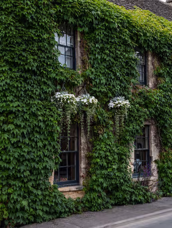 The Wheatsheaf Inn, a charming stone building covered in greenery