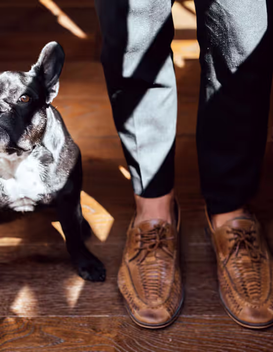 Black French Bulldog sitting beside a man's feet and luggage