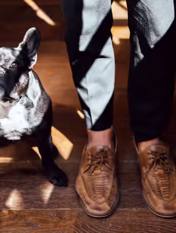 Black French Bulldog sitting beside a man's feet and luggage