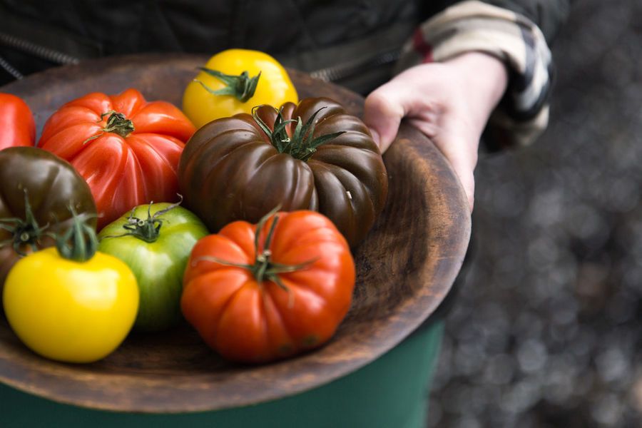 Nutbourne Tomatoes