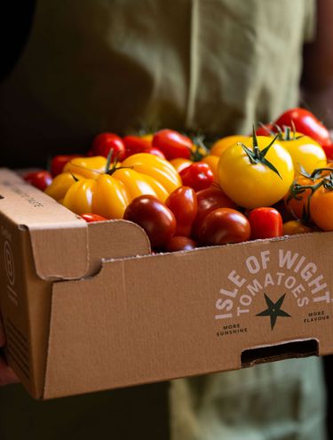 Isle of Wight tomatoes