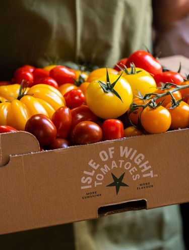 Isle of Wight tomatoes