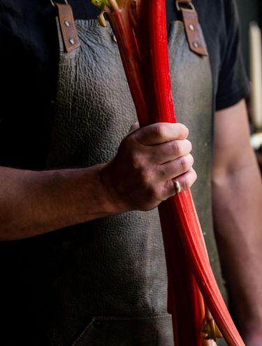 Rhubarb, Yorkshire
